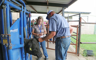 Workshop empowers ag teachers, equips them with resources Ag teachers early in their career spent two days with educational and agricultural experts to gain knowledge and resources for their classrooms.
