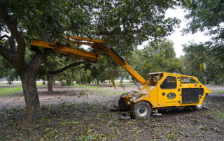 U.S. senators ask for fairness for pecan industry A group of U.S. Republican senators, including both John Cornyn and Ted Cruz of Texas, is expressing strong concerns with USDA’s allocation of trade promotion funding to tree nut industries.