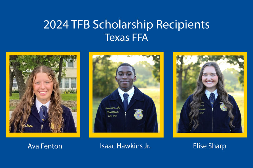 Texas FFA announces 2024 TFB scholarship recipients The Texas FFA Association announced the selection of the 2024 Texas Farm Bureau (TFB) scholarship recipients during the 96th annual Texas FFA State Convention in Houston this week.