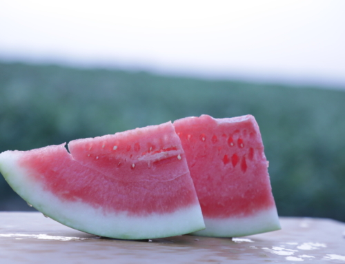 Texas watermelon growers report good yields, high quality