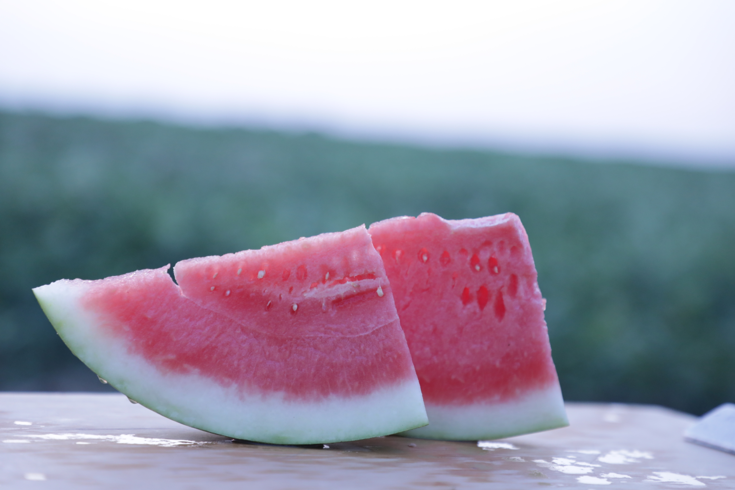 Texas watermelon growers report good yields, high quality Texas watermelon growers are reporting good yields and high-quality melons this season.