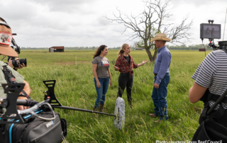 A decade of success promoting Texas’ beef industry A decade of raising the steaks—both on the farm and in the markets—makes for a successful partnership between cattle producers and the Texas Beef Checkoff.