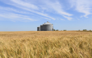 USDA makes updates to farm loan programs USDA is making policy changes to the Farm Service Agency’s Farm Loan Program in a move aimed at improving farm profitability.