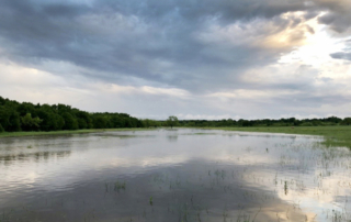 First-ever statewide flood plan released The Texas Water Development Board (TWDB) recently approved the first statewide flood plan.