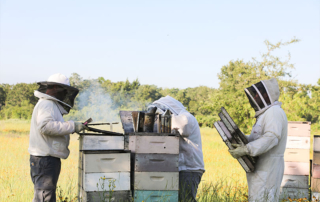 The buzz behind Walker Honey Farm in Central Texas Summer memories are full of honey and savored by Blake Butler. His passion for beekeeping started in high school when he began working at Walker Honey Farm during the summers.