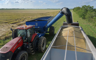 ‘Don’t learn safety by accident’ is theme for farm safety week Webinars will be offered each day this week as part of National Farm Safety and Health Week.