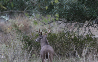 Examine hunting leases, terms closely Landowners should consider taking the steps to establish a proper hunting lease before allowing hunters on their property.