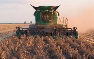 Jonathan Krenek and his father, Tim, found a solution to harvest their damaged corn fields after Hurricane Beryl blew through the Texas coast.