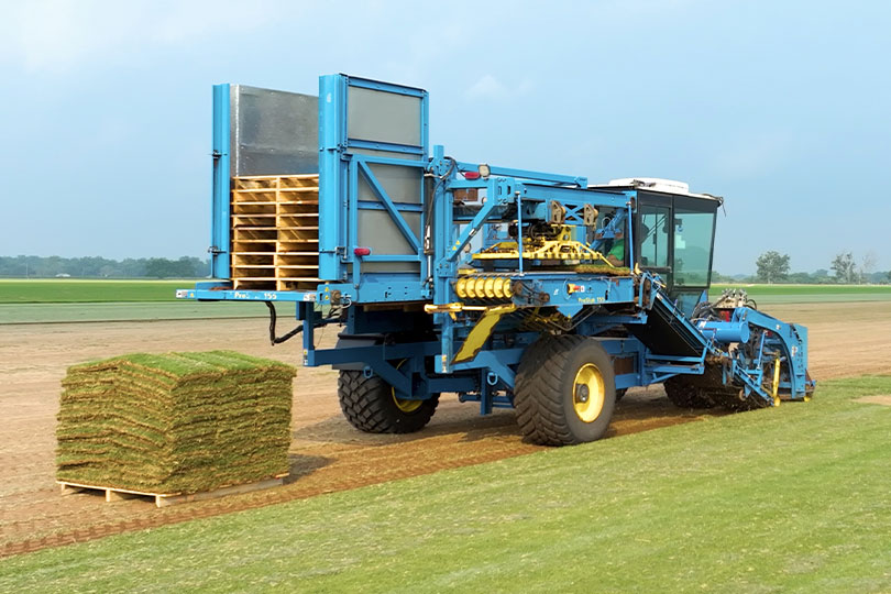 Roots run three generations deep on turfgrass farm Three generations of the Gavranovic family are rooted deeply in the turfgrass business. They own and operate Horizon Grass Farms, which has sod farms in several counties in the state.