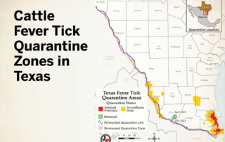 Hunters critical to fever tick prevention Hunters play a vital role in preventing fever ticks from spreading to cattle herds across the state.