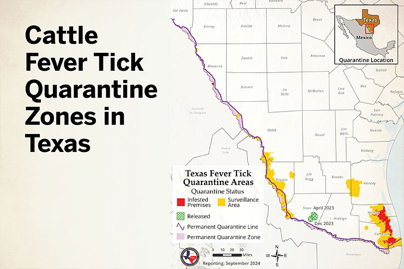 Hunters critical to fever tick prevention Hunters play a vital role in preventing fever ticks from spreading to cattle herds across the state.