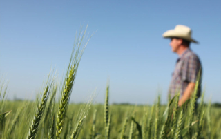 Celebrate Texas farmers on National Farmer’s Day The contributions of farmers, ranchers, dairymen and foresters are recognized on Oct. 12—National Farmer’s Day.