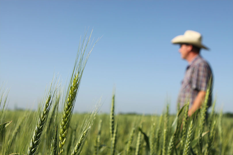 Celebrate Texas farmers on National Farmer’s Day – Texas Farm Bureau