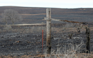 Texas counties under disaster declaration for wildfire threat Gov. Greg Abbott issued a disaster declaration for 143 counties across Texas in response to the increase of threat of wildfires.