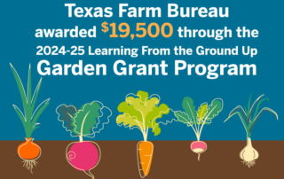 Texas Farm Bureau names 2024-25 garden grant recipients Texas Farm Bureau awarded 39 recipients of the Learning from the Ground Up garden grants for 2024-2025.