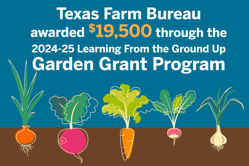 Texas Farm Bureau names 2024-25 garden grant recipients Texas Farm Bureau awarded 39 recipients of the Learning from the Ground Up garden grants for 2024-2025.