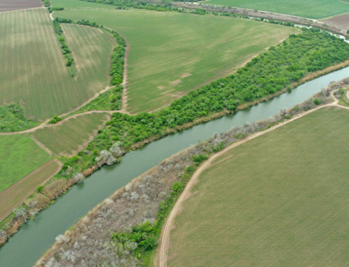 New legislation aims to help Rio Grande Valley farmers