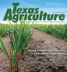 Texas Agriculture Publication | November 1, 2024