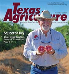 Texas Agriculture Publication | December 6, 2024