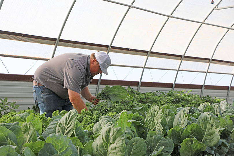 Outstanding YF&R Finalist: Layton and Jessi Schur Layton and Jessi Schur have a direct-to-consumer retail store in Hale County, providing their community with fresh produce and beef from their farm and market garden. They also grow grain sorghum and cotton.