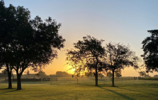 Foreign owned ag land in U.S. increases by 1.6 million acres Recent analysis of foreign ag land ownership showed rising numbers in the U.S.