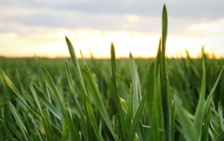 Texas Farm Bureau joins statewide water coalition A statewide coalition launched an initiative to urge the Texas Legislature to establish a dedicated revenue source to fund future water projects.