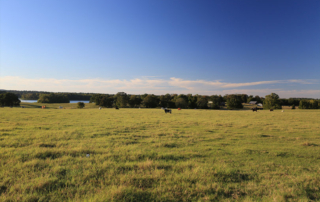 FARM Act to protect agriculture from foreign interference A bill was reintroduced to help protect American agriculture from foreign interference.