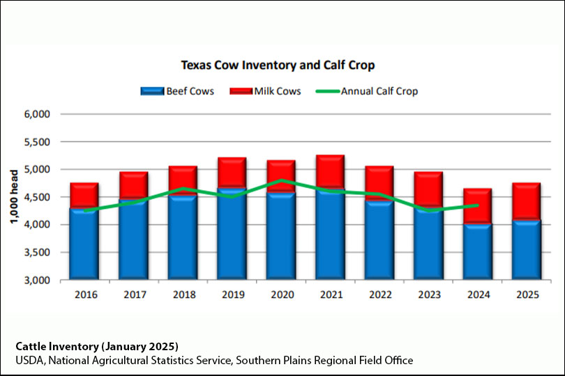 Texas beef herd grows slightly, U.S. numbers drop The Texas cattle herd grew slightly since last year, but the U.S. herd remains near record low numbers.