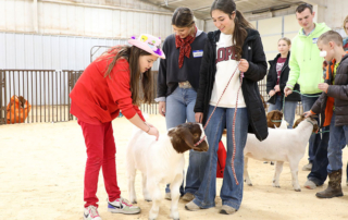 TFB Clover Cash grant helps connect students to agriculture Angie Carver has a mission to bring agriculture to special needs children, and TFB’s Clover Cash Grant Program helps her find success.