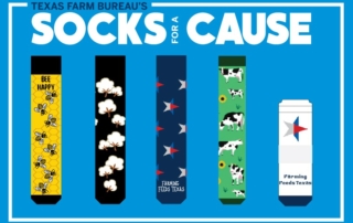 TFB’s Socks for a Cause campaign raises funds for national group TFB put its best foot forward for agricultural literacy, raising $5,310 through the Socks for a Cause campaign to support the National Ag in the Classroom Organization.