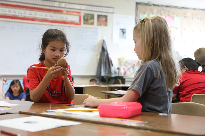 Students dig into agriculture during Ag Literacy Week Students and teachers explored agriculture through Texas Farm Bureau’s Ag Literacy Week program.