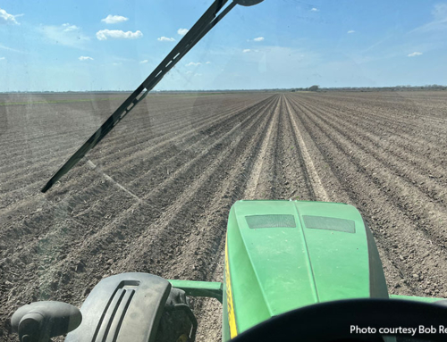 Spring planting brings challenges, opportunities for farmers