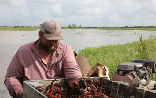 Texas students learn about crawfish through Farm From School Texas students learned about crawfish through Texas Farm Bureau’s (TFB) Farm From School program in April.