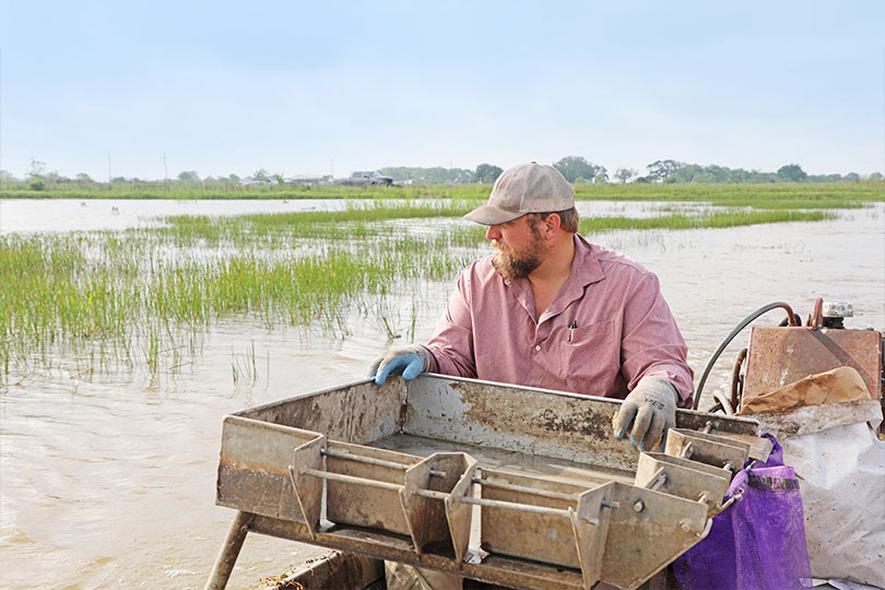 Southeast Texas farmer hauls in another crawfish season In Hamshire, a small community along the Texas coast, Aaron Permenter reels in his crawfish harvest to share with mudbug lovers across Texas and Louisiana.