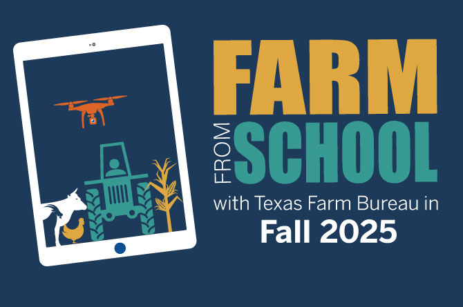 FFF_Fall2025