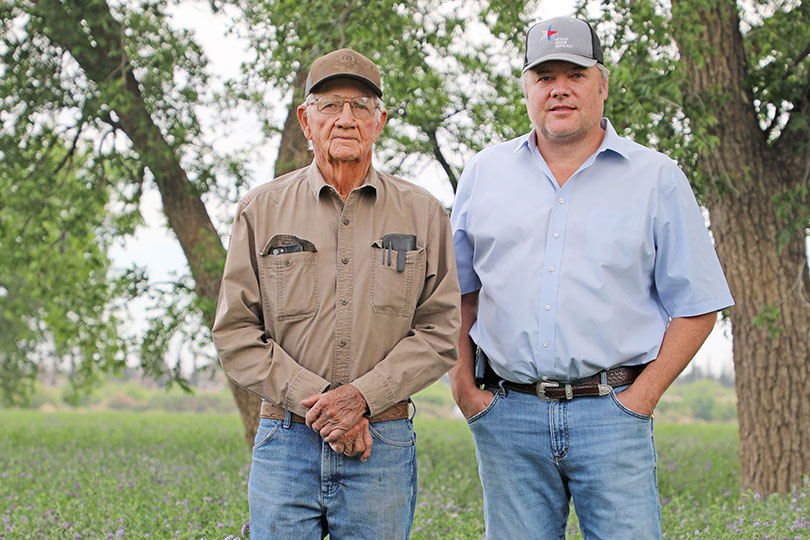 alfalfa2 Alfalfa grows in the dry, arid climate of Far West Texas In the high desert heat of Far West Texas, where cotton stretches across the fields and pecan trees sway under the sun, there’s another crop making its mark—alfalfa.