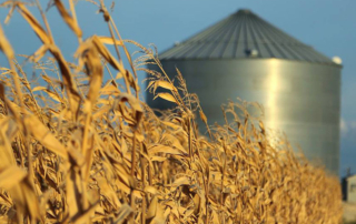 U.S. heading to record agricultural trade deficit The U.S. agricultural trade deficit is widening in 2025, driven by shifting global trade dynamics and rising import demand.