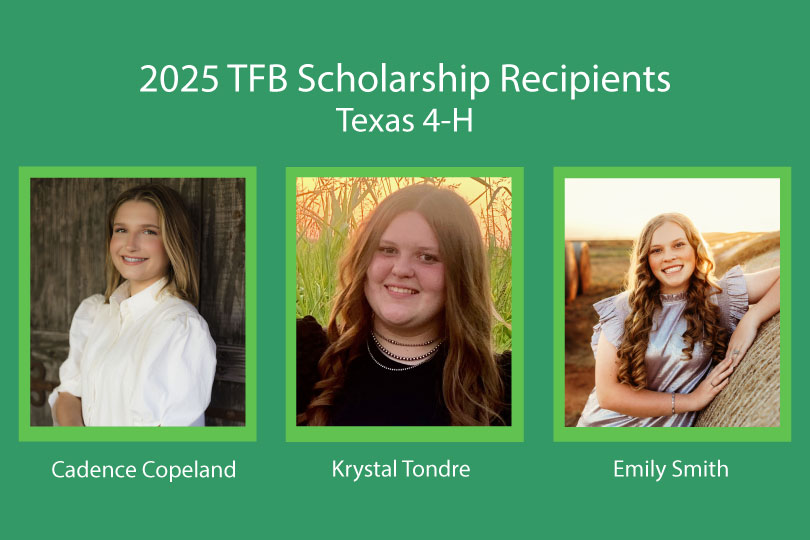 Texas 4-H names 2025 TFB scholarship recipients Cadence Copeland, Krystal Tondre and Emily Smith are the 2025 recipients of scholarships funded by Texas Farm Bureau through the Texas 4-H Foundation.
