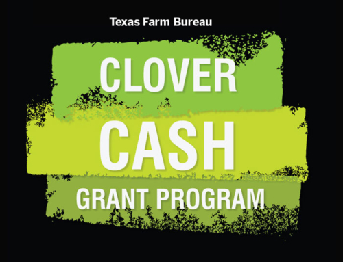 TFB Clover Cash grant applications open for 2025