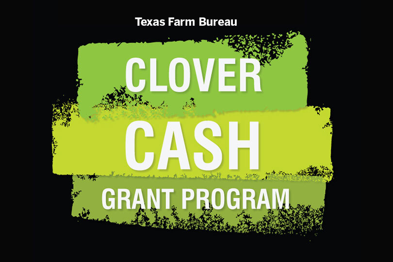 Clover Cash grant applications are open Texas Farm Bureau’s Clover Cash Grant Program is accepting applications for 2025. Applications are due Aug. 11.