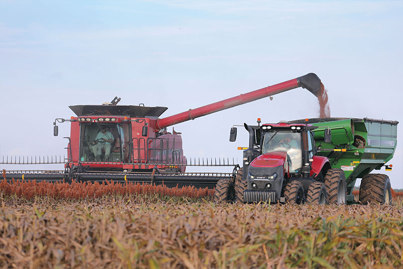 grain-sorghum Zachary Mengers continues his family’s farming legacy Fifth-generation farmer Zachary Mengers is continuing his family’s legacy in Tynan.