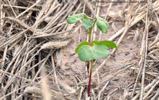 USDA survey on conservation practices USDA and NRCS are surveying farmers, ranchers and agricultural landowners to gather data on the conservation practices used.