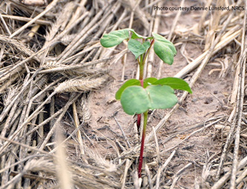 USDA to survey farmers, ranchers on conservation practices