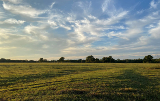 USDA releases new plan for national security The Trump administration unveiled its plan to address foreign ownership of U.S. farmland and ensure American agriculture remains a key element of national security efforts.