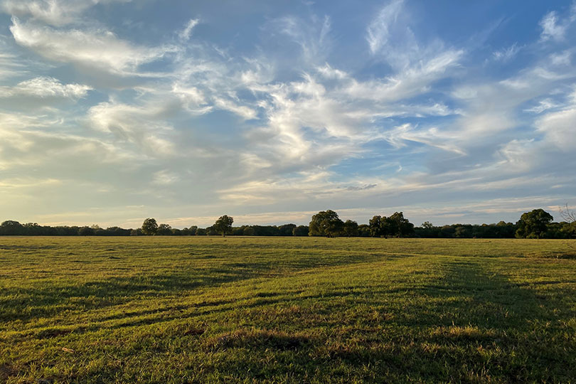 USDA releases new plan for national security The Trump administration unveiled its plan to address foreign ownership of U.S. farmland and ensure American agriculture remains a key element of national security efforts.