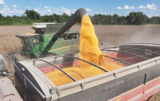 New reports reveal economic strain on agriculture Recent data from the U.S. Bureau of Labor and Statistics shows that inflation is slowing, but farmers and ranchers are still facing many other economic challenges affecting their bottom line.