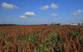 AFBF makes policy recommendations to MAHA Commission The American Farm Bureau Federation submitted its policy recommendations to the Make America Health Again Commission.