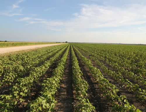 EPA proposes new dicamba label