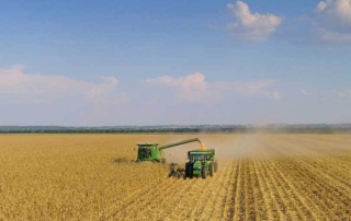 Farmers caught in perfect storm of economic challenges Several economic headwinds are combining to create a difficult financial environment for some farmers.