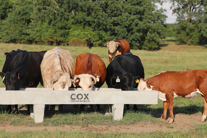 Poured to last: Concrete troughs built by ranchers, for ranchers What started as a side hustle for one ranching family has grown into a solid business of providing pre-cast concrete products to customers across multiple states.